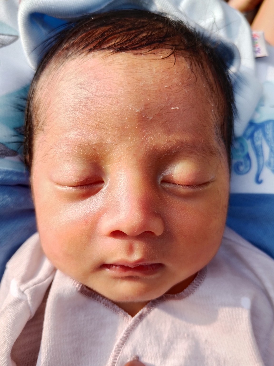 Foto asli Shabqi